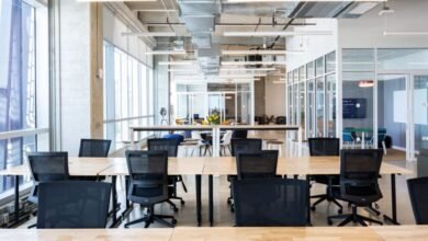 La columna vertebral digital: cómo la tecnología está revolucionando el espacio moderno de coworking