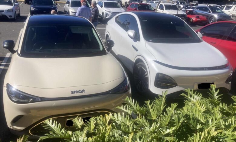 Las ventas de automóviles australianos y de Nueva Zelanda se debilitan.
