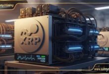 Haga que su XRP funcione para usted: obtenga ingresos pasivos diarios con SunnyMining