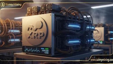 Haga que su XRP funcione para usted: obtenga ingresos pasivos diarios con SunnyMining