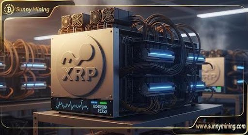 Haga que su XRP funcione para usted: obtenga ingresos pasivos diarios con SunnyMining