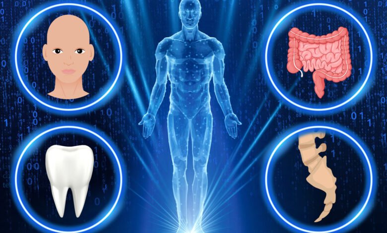 Los futuros humanos serán sin pelo y perderán otras cuatro partes del cuerpo ‘gracias a los estilos de vida modernos Los futuros humanos serán sin pelo y perderán otras cuatro partes del cuerpo ‘gracias a los estilos de vida modernos