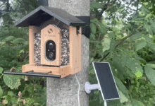 Cambiar el juego para los observadores de aves: este comedero de pájaros solares tiene una cámara de inteligencia artificial