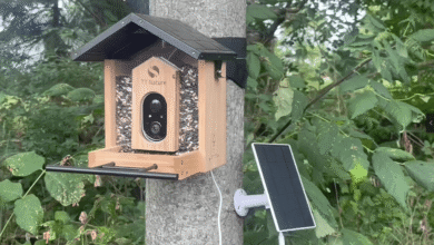 Cambiar el juego para los observadores de aves: este comedero de pájaros solares tiene una cámara de inteligencia artificial