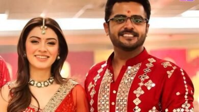 Hansika Motwani borra las fotos de la boda en los rumores del divorcio; ¿Está finamente confirmada …
