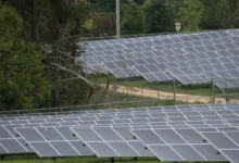 El exceso de conexión de PJM puede acomodar 153 GW de energía solar, eólica, almacenamiento: investigadores de UC Berkeley.