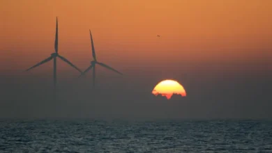 La administración de Trump revocará la aprobación de 2.2-gw Maryland Offshore Wind Wind