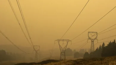 Pacificorp pide a FERC que cancele el desafío de aumentar $ 1.7B en costos de energía forestal a la tasa de entrega.