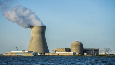PSE&G Carga de línea de carga grande 47%, 9.4 GW, la mayoría de las especulaciones