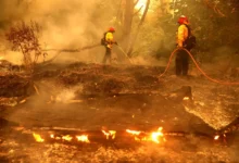 PG&E vio el crecimiento y el crecimiento de ‘Ricitos de oro’ y la ruta para reducir los costos en 2027.