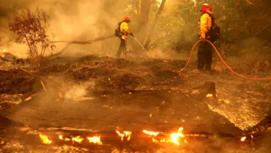 PG&E vio el crecimiento y el crecimiento de ‘Ricitos de oro’ y la ruta para reducir los costos en 2027.