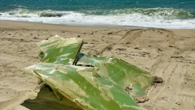Texas piensa que presentar una petición para revocar la licencia para el proyecto Vineyard Wind 1 fuera de la costa de Nantucket.