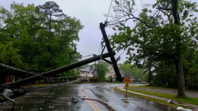 Flexibilidad: el método de que los servicios públicos se pueden preparar para la próxima gran tormenta.