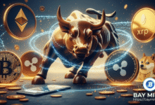 Bay Miner expande la plataforma de minería en la nube para unir finanzas tradicionales y activos digitales