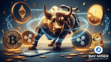 Bay Miner expande la plataforma de minería en la nube para unir finanzas tradicionales y activos digitales