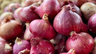 Cuando se reduce el precio, los productores de cebolla quieren que el CM sea la presidencia con urgencia en Lasalgaon.