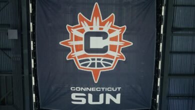 Venta de Connecticatsan: el propietario de los Celtics para comprar el equipo de la WNBA planea trasladar la franquicia a Boston como se informó.