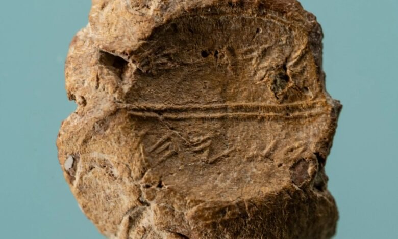 La huella digital de Ancient Elite se encuentra en el sello perdido vinculado a la advertencia misteriosa del día del juicio final bíblico y oculta durante 2.600 años La huella digital de Ancient Elite se encuentra en el sello perdido vinculado a la advertencia misteriosa del día del juicio final bíblico y oculta durante 2.600 años