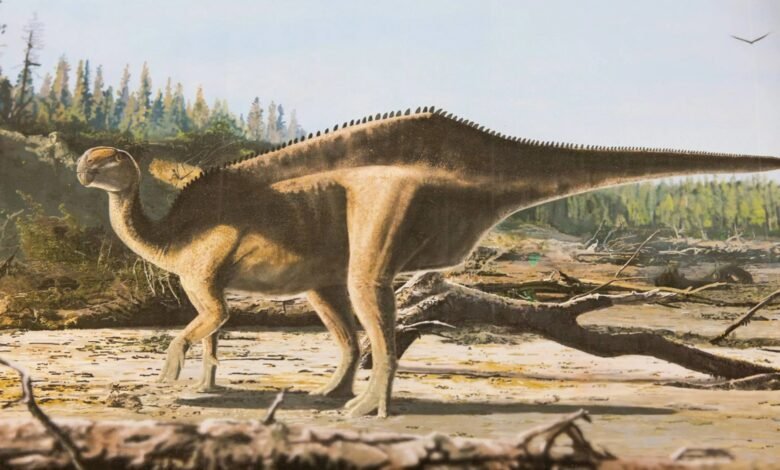 Nuevas especies de dinosaurios de 125 millones de años descubiertos en la Isla de Wight con una característica inusual para atraer parejas