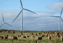 La energía eólica quita los registros de generación mensual, a nivel nacional y en cuatro estados