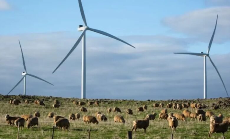 La energía eólica quita los registros de generación mensual, a nivel nacional y en cuatro estados La energía eólica quita los registros de generación mensual, a nivel nacional y en cuatro estados
