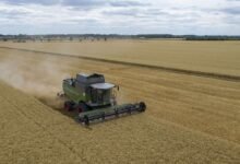 Aranceles y problemas comerciales pesan sobre la agricultura estadounidense