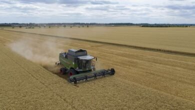 Aranceles y problemas comerciales pesan sobre la agricultura estadounidense