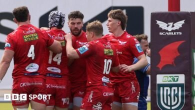 Scarlets: acuerdo de inversión de la Cámara de Suturas para el área de Gales