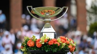 Campeonatos de 2025 campeonatos, bonos