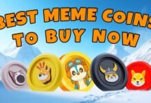 6 monedas de memes superiores para comprar para 2025 que están haciendo olas