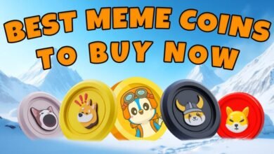 6 monedas de memes superiores para comprar para 2025 que están haciendo olas
