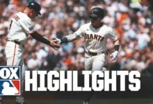 Rayos contra los aspectos más destacados de los gigantes | MLB en Fox
