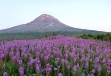 Geolaska recibió a Loi por encender el dispositivo debajo del Monte Agustín.