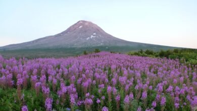 Geolaska recibió a Loi por encender el dispositivo debajo del Monte Agustín.