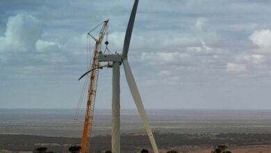 El viento y la energía solar ingresaron al punto más alto inmediatamente en la cuadrícula de dos años de los últimos cinco años.