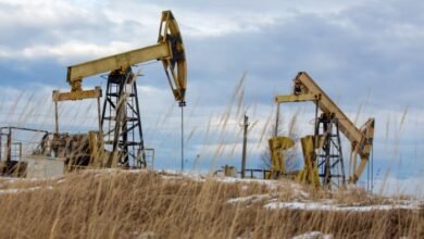 La amenaza arancelaria de los Estados Unidos sobre las importaciones indias de petróleo ruso podría ser contraproducente