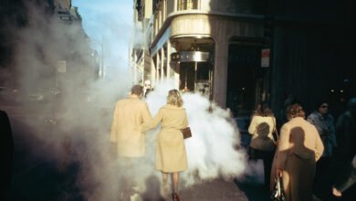 ‘A Sense of Wonder’ narra seis décadas de la íntima fotografía callejera de Joel Meyerowitz – Colosal