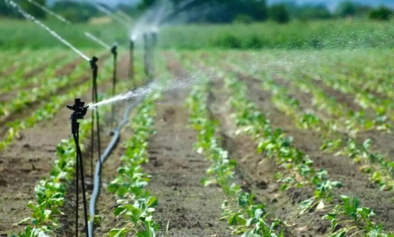 Más allá del riego: por qué India necesita inteligencia del agua, no solo el acceso al agua Más allá del riego: por qué India necesita inteligencia del agua, no solo el acceso al agua