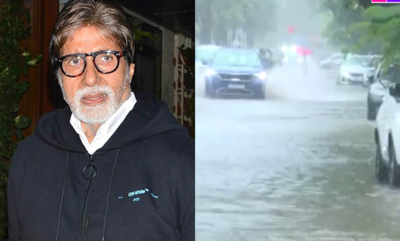 Pesca de arbusto las pestañas amitabh bachchan [Watch Viral PICS]