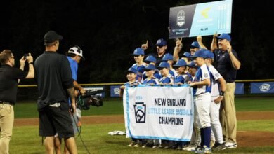LIGNA LIGA WORLD SERIE 2025: Dónde ver, citas, tiempo de inicio, canal de televisión, transmisión en vivo, equipos