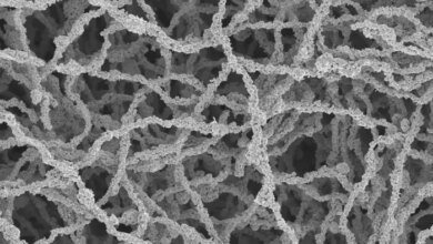 Producción de hidrógeno revolucionada por electrodos de malla de nanofibra metálica – Noticias de combustible de hidrógeno