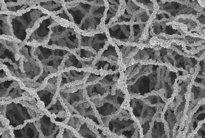 Producción de hidrógeno revolucionada por electrodos de malla de nanofibra metálica – Noticias de combustible de hidrógeno