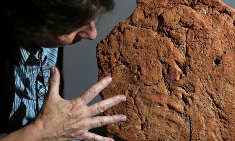 Increíble huella a mano completa encontrada en el antiguo adorno de la tumba egipcia en el museo, que había pasado desapercibido durante milenios Increíble huella a mano completa encontrada en el antiguo adorno de la tumba egipcia en el museo, que había pasado desapercibido durante milenios
