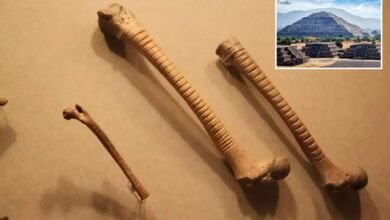 Los arqueólogos descubren huesos de 800 años con detalles extraños y ofrecen una visión sorprendente de la vida azteca