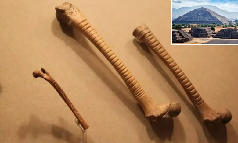 Los arqueólogos descubren huesos de 800 años con detalles extraños y ofrecen una visión sorprendente de la vida azteca