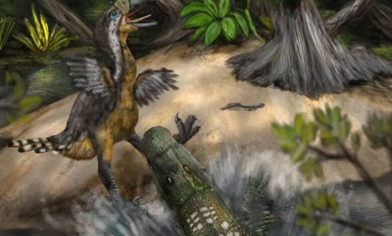 COC prehistórico letal de 15 pies ‘pájaro terrorista’ gigantesco ‘gigantesco’ más alto que un humano en shock Attack hace 12 millones de años COC prehistórico letal de 15 pies ‘pájaro terrorista’ gigantesco ‘gigantesco’ más alto que un humano en shock Attack hace 12 millones de años
