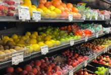 Necesitamos considerar la modificación de alimentos para el mundo que es saludable en nuestro futuro.