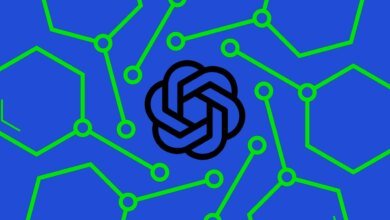 Por qué importan los modelos de código abierto de OpenAi