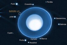 La cámara web de la NASA vio la órbita de la luna nueva alrededor de Urano.
