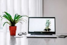 Reviso la velocidad de mi PC de Windows con un comando fácil. Aquí está como